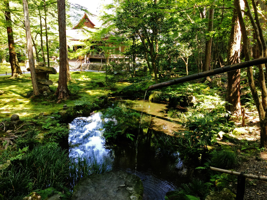 三千院室外的青苔园