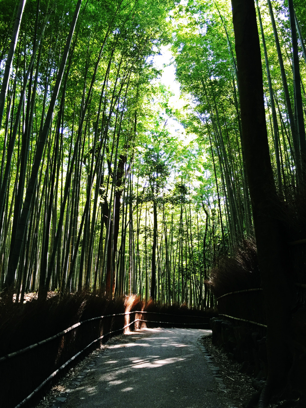 嵯峨野竹林道